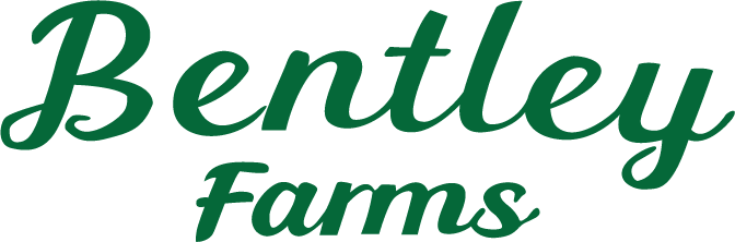 Bentley Farms York